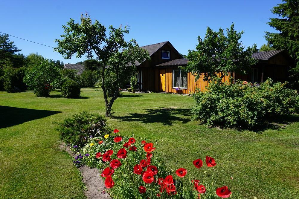 Kelluka Holiday House Pärispea Exterior photo